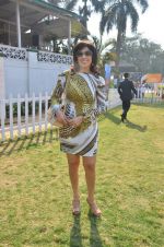 at Poonawala breeders Multi Million race in Mumbai on 26th Feb 2012 (84).JPG